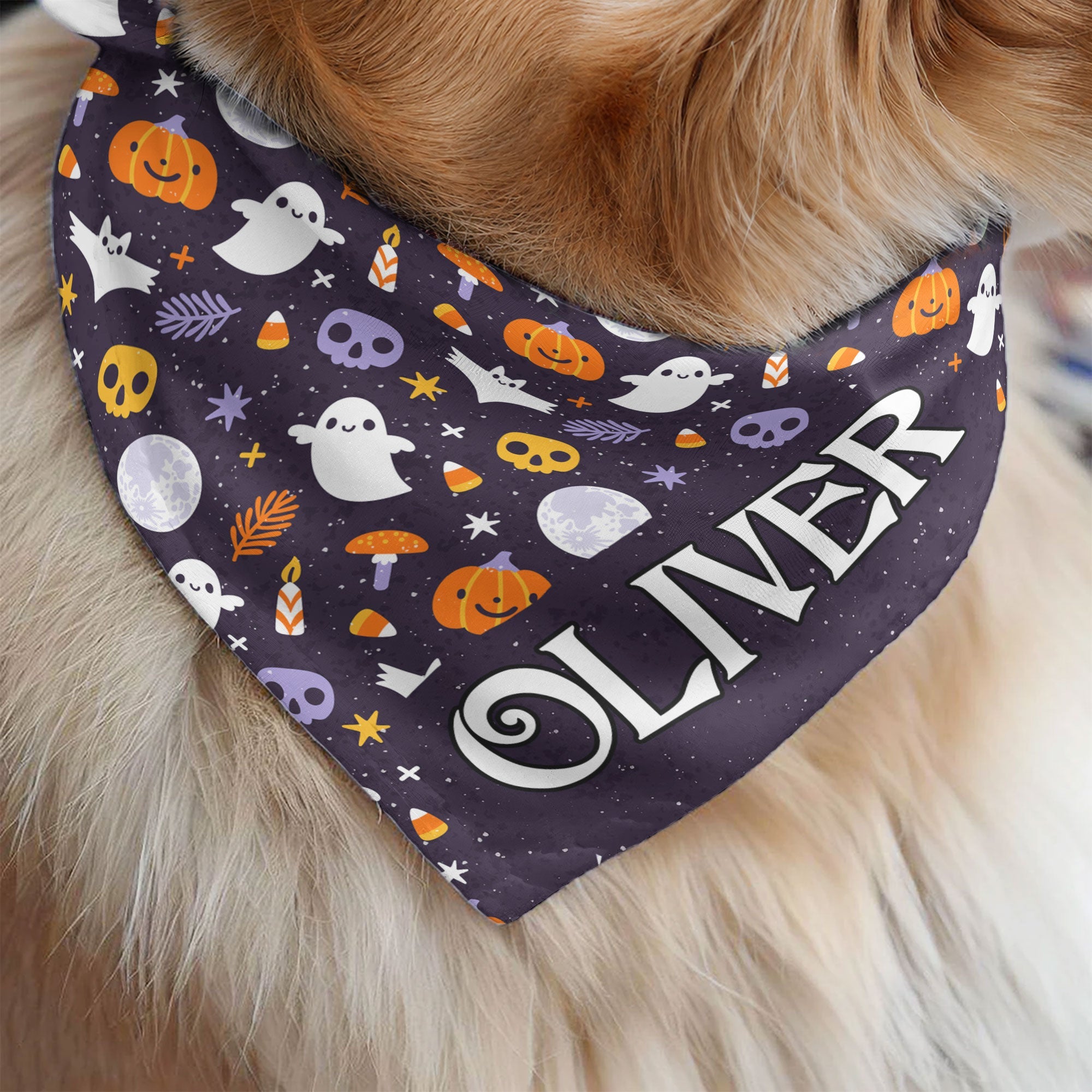 Custom Name Halloween Costume For Pets - Personalized Bandana Collar