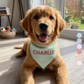 Custom Pet Name Stripped Pattern Colorful - Personalized Bandana Collar