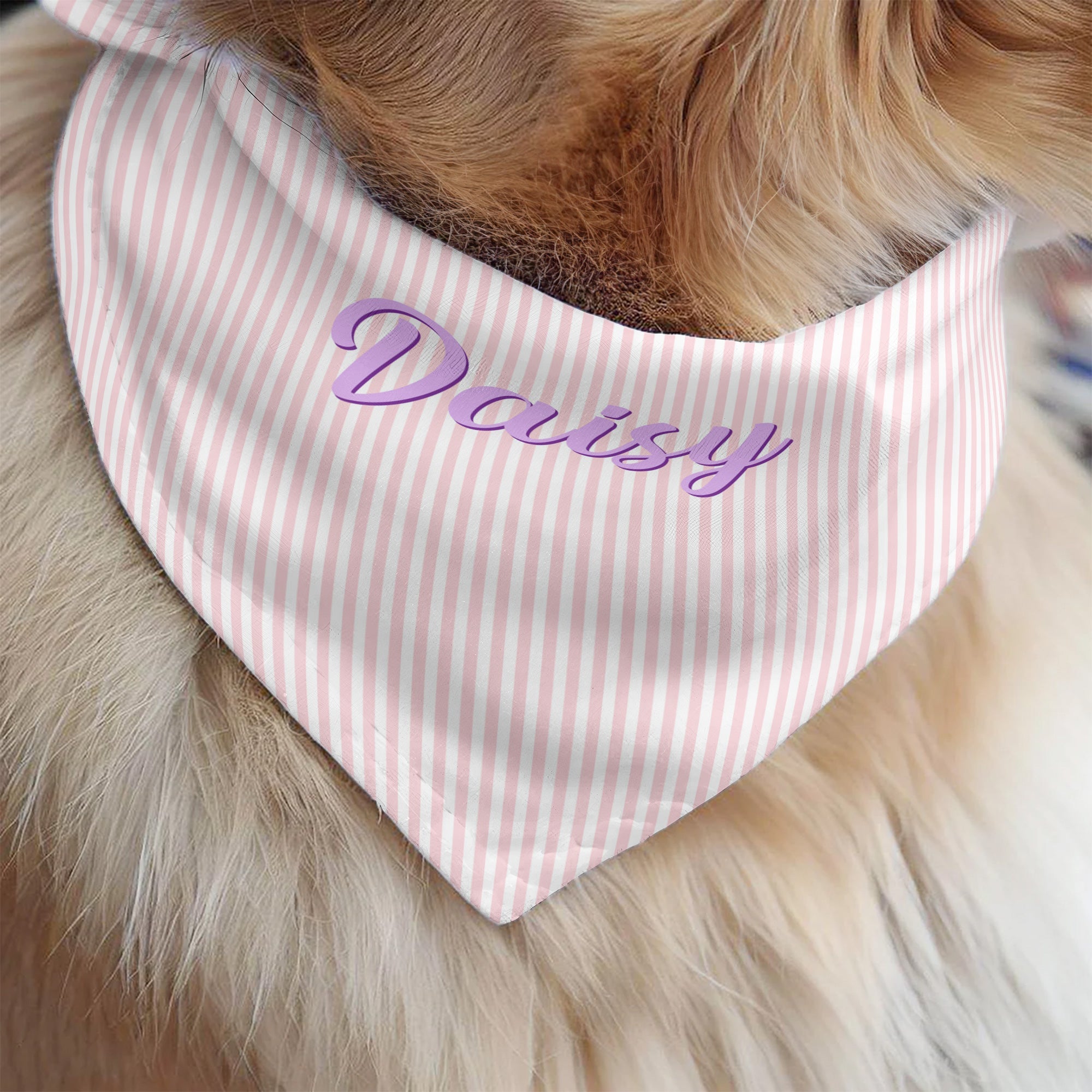 Custom Pet Name Stripped Pattern Colorful - Personalized Bandana Collar