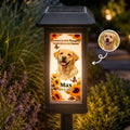 Custom Photo Pet Memorial, Garden Sympathy Gift - Personalized Solar Garden Light