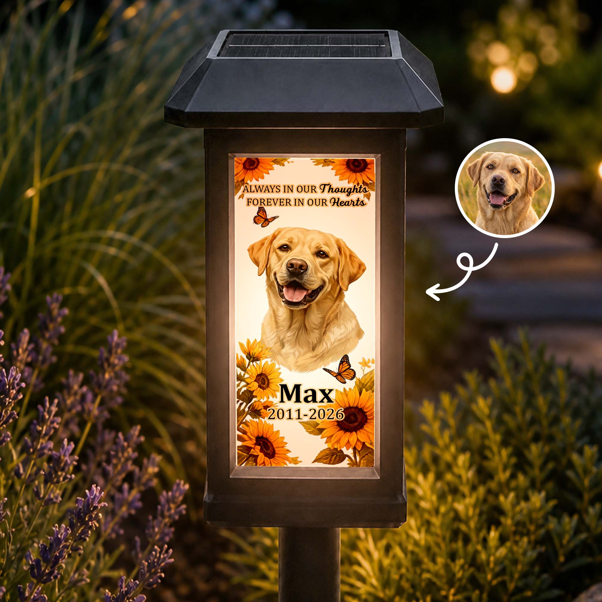 Custom Photo Pet Memorial, Garden Sympathy Gift - Personalized Solar Garden Light