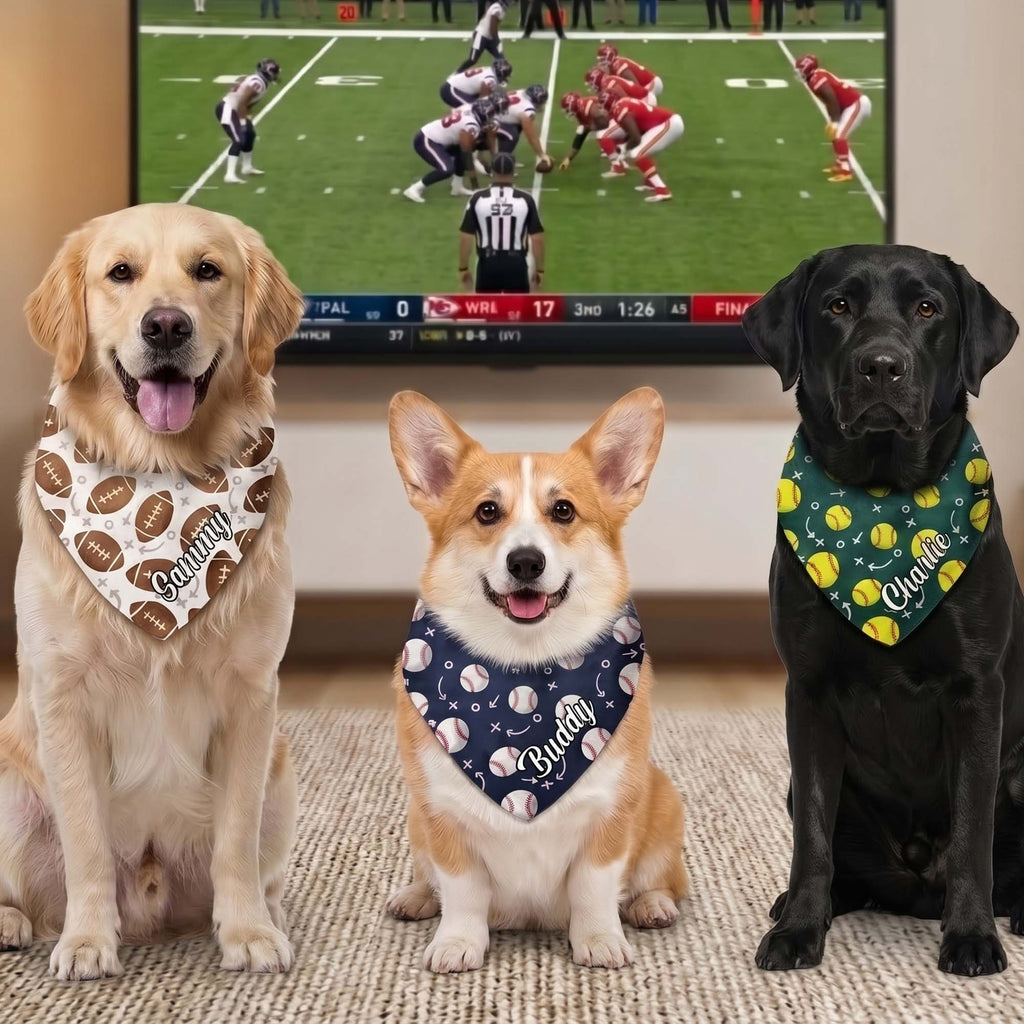 Dog Bandana Gift For Sport Lover - Personalized Bandana Collar