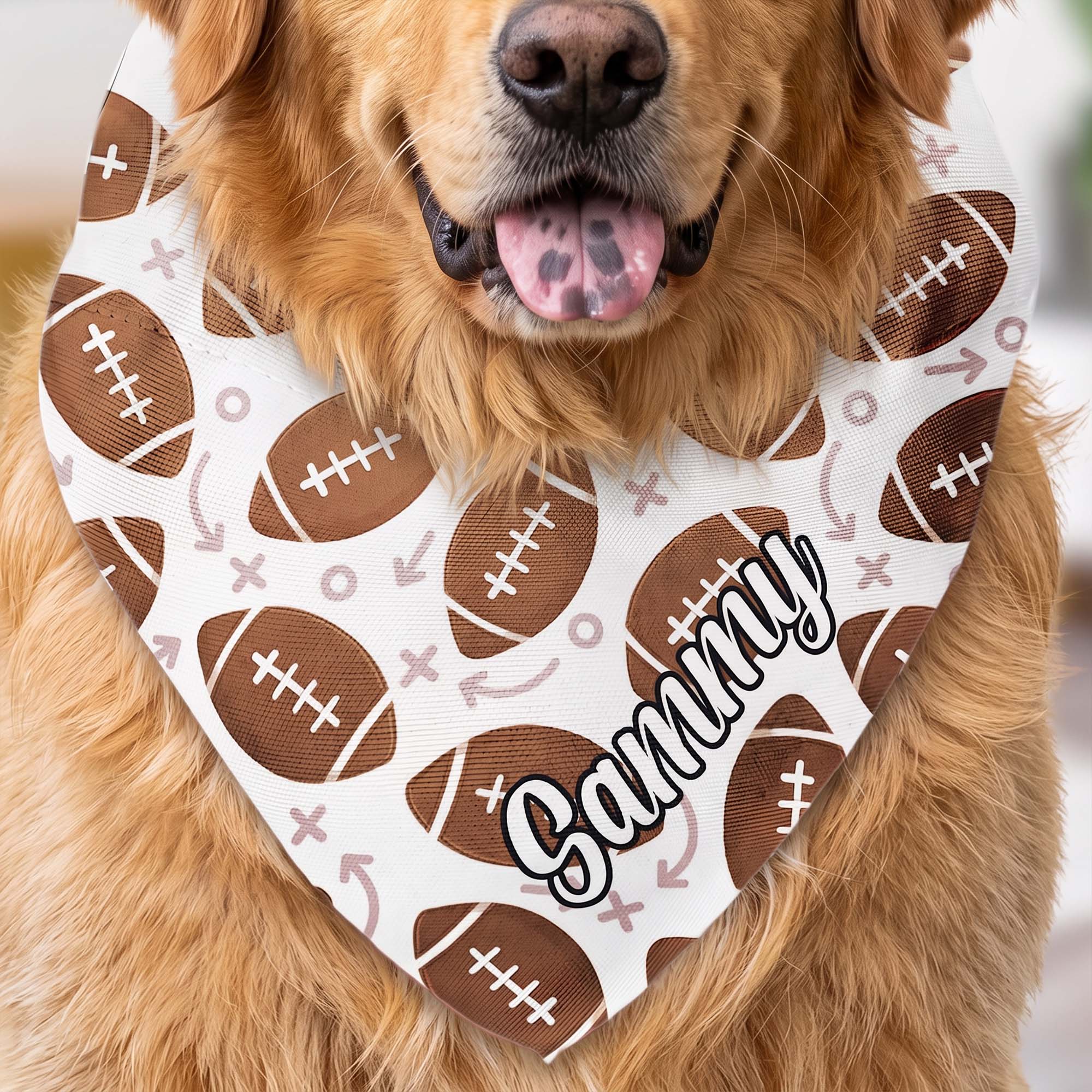 Dog Bandana Gift For Sport Lover - Personalized Bandana Collar