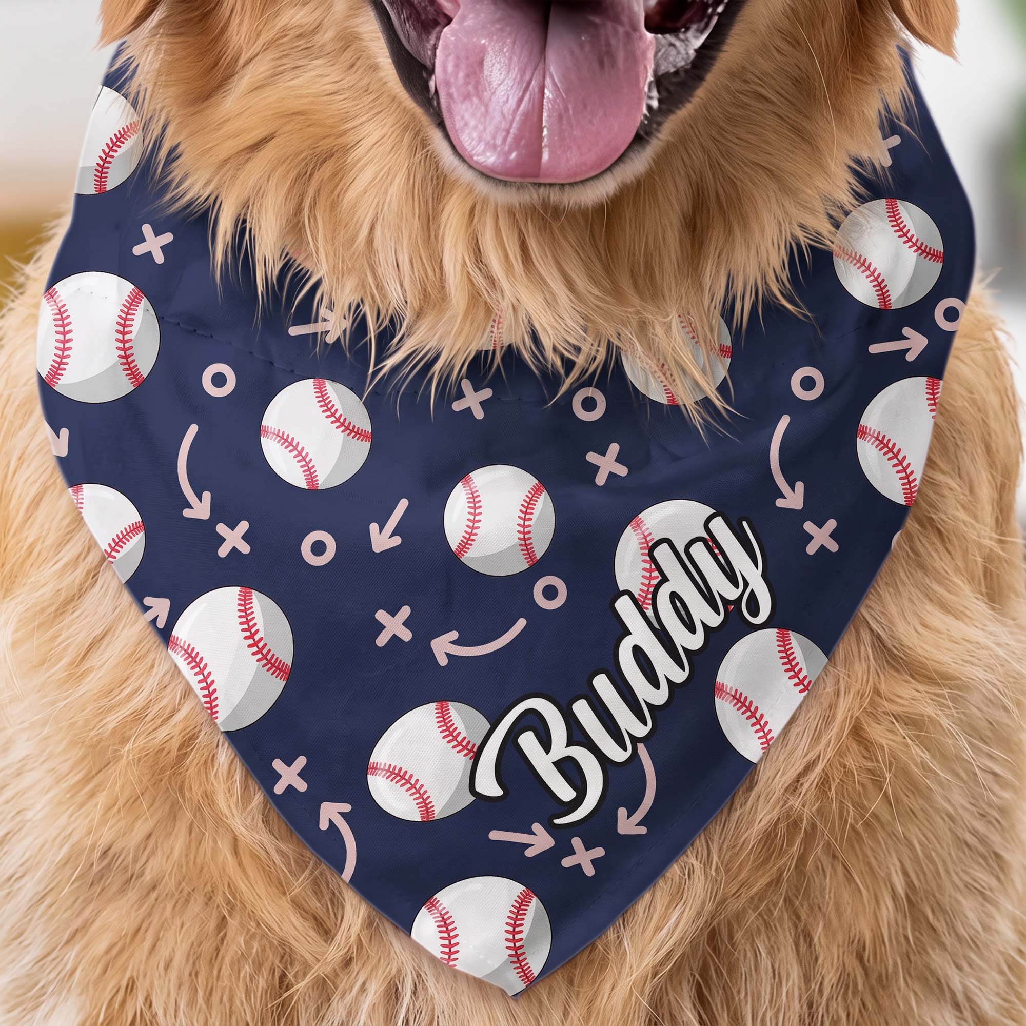 Dog Bandana Gift For Sport Lover - Personalized Bandana Collar