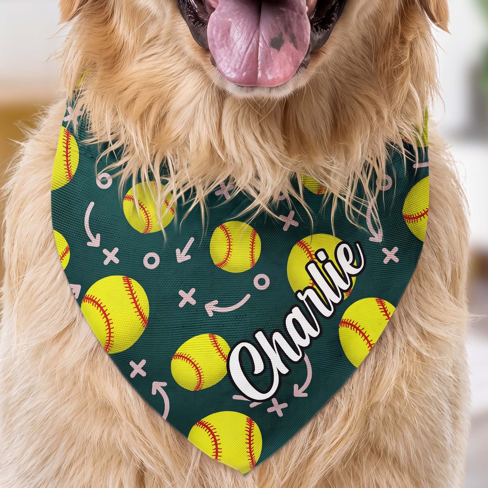 Dog Bandana Gift For Sport Lover - Personalized Bandana Collar