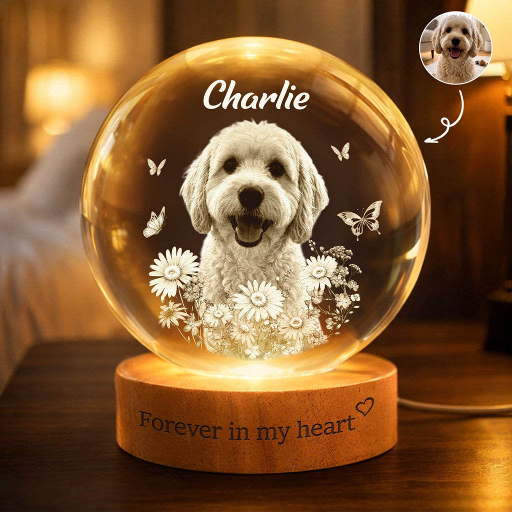 Forever In My Heart Crystal Ball Light Pet Loss Gifts - Personalized Night Light