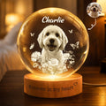 Forever In My Heart Crystal Ball Light Pet Loss Gifts - Personalized Night Light