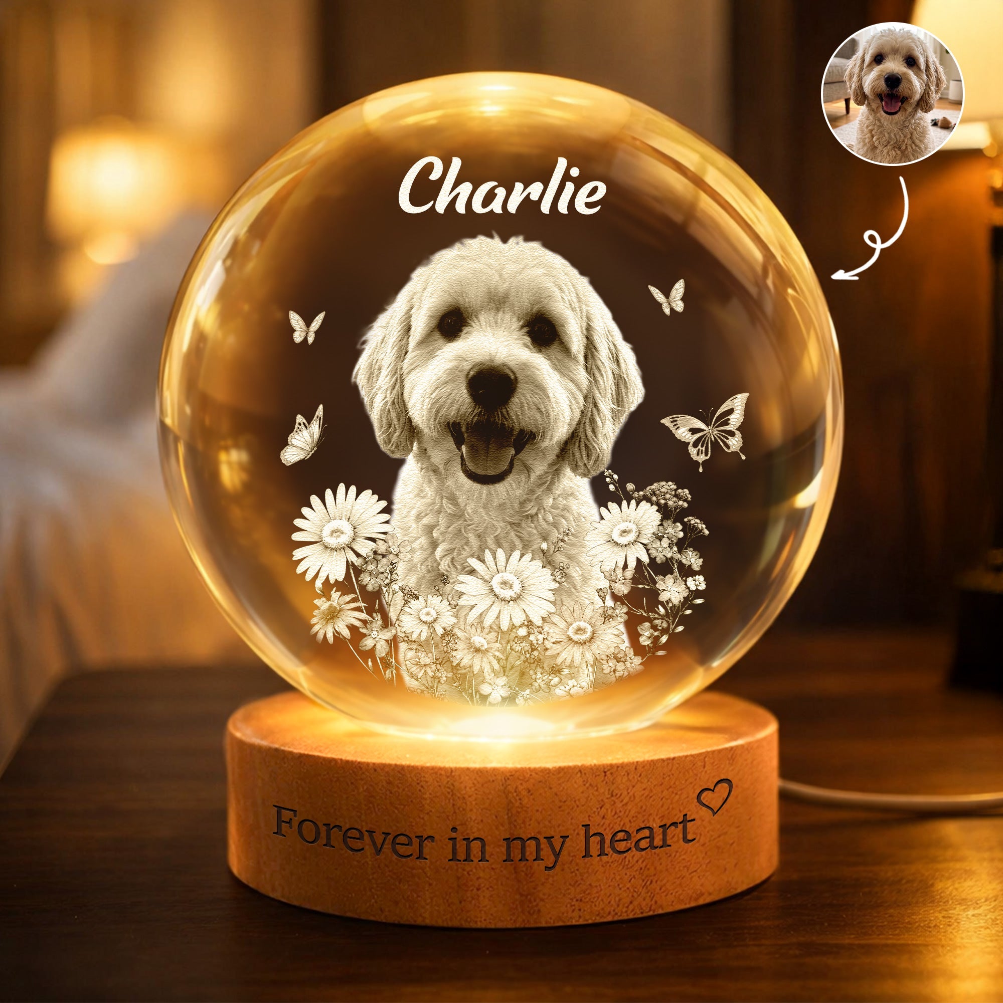 Forever In My Heart Crystal Ball Light Pet Loss Gifts - Personalized Night Light