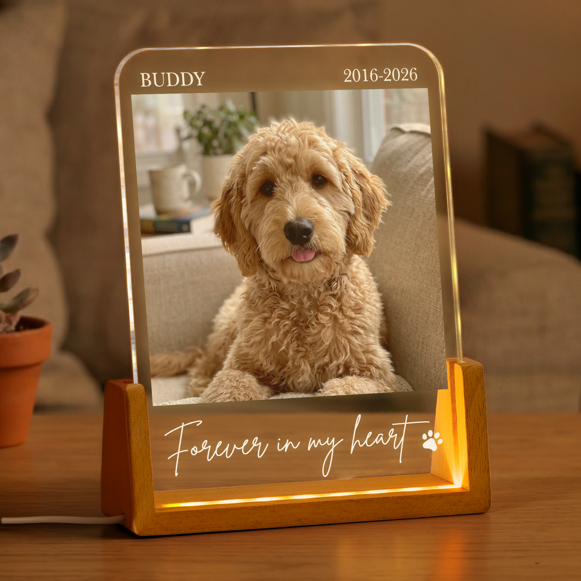 Forever In My Heart Custom Photo Pet Loss Gifts - Personalized Night Light