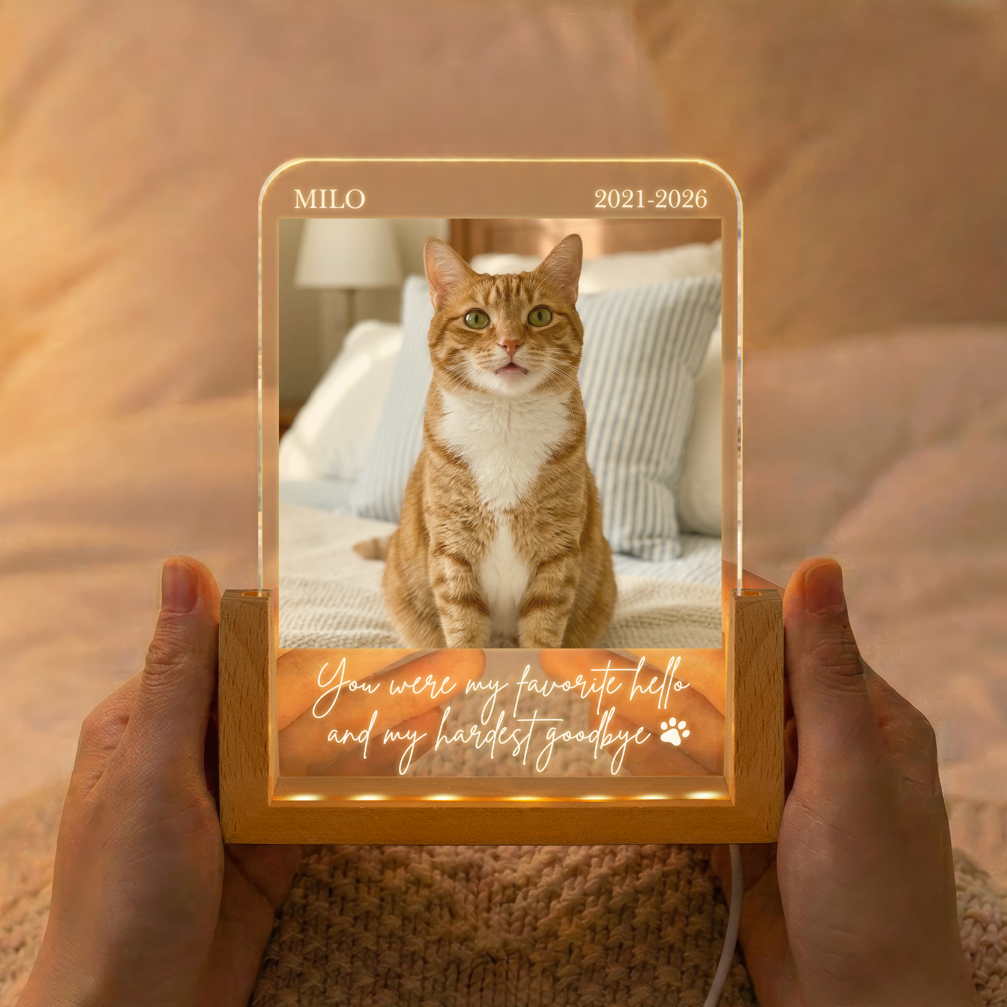 Forever In My Heart Custom Photo Pet Loss Gifts - Personalized Night Light