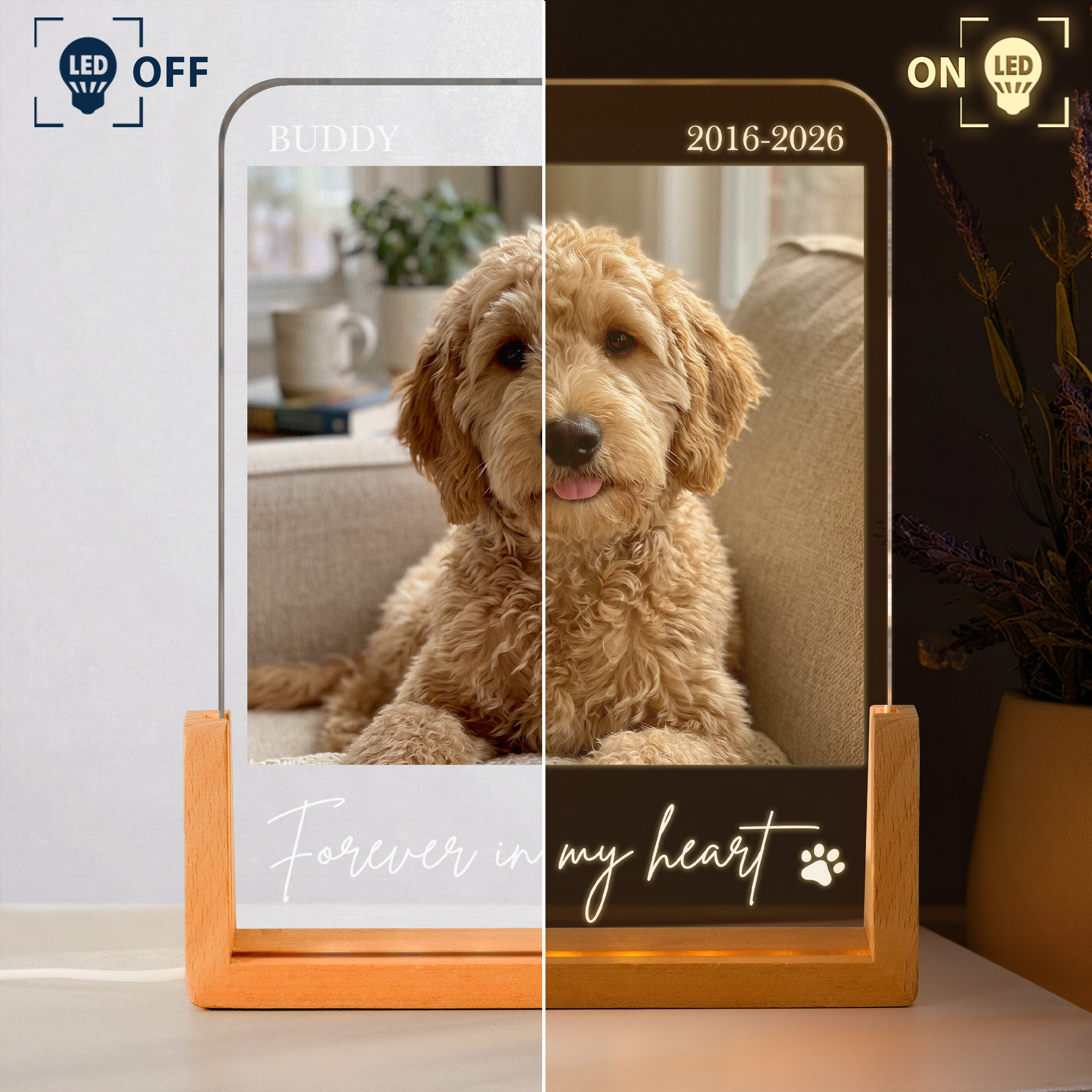 Forever In My Heart Custom Photo Pet Loss Gifts - Personalized Night Light