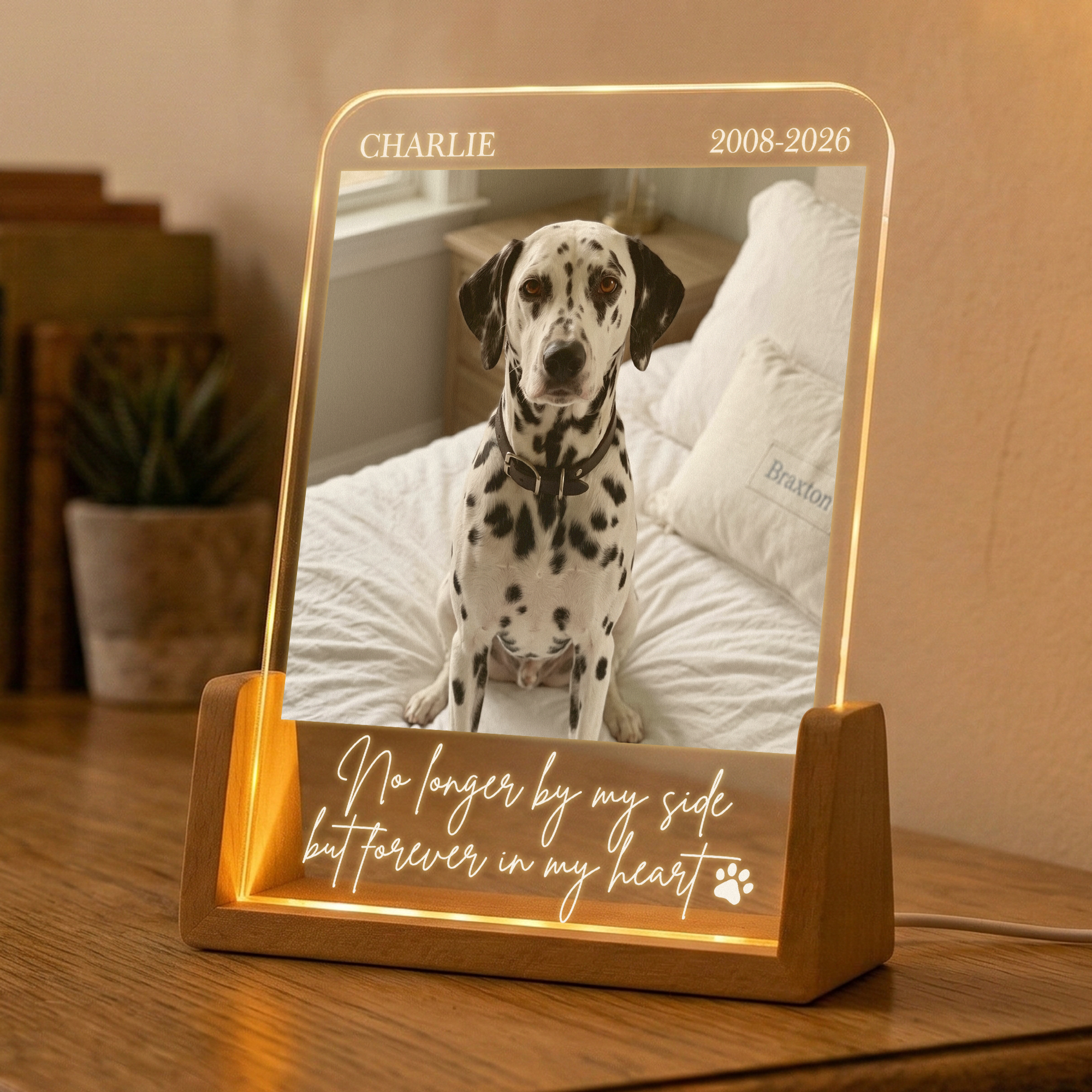 Forever In My Heart Custom Photo Pet Loss Gifts - Personalized Night Light