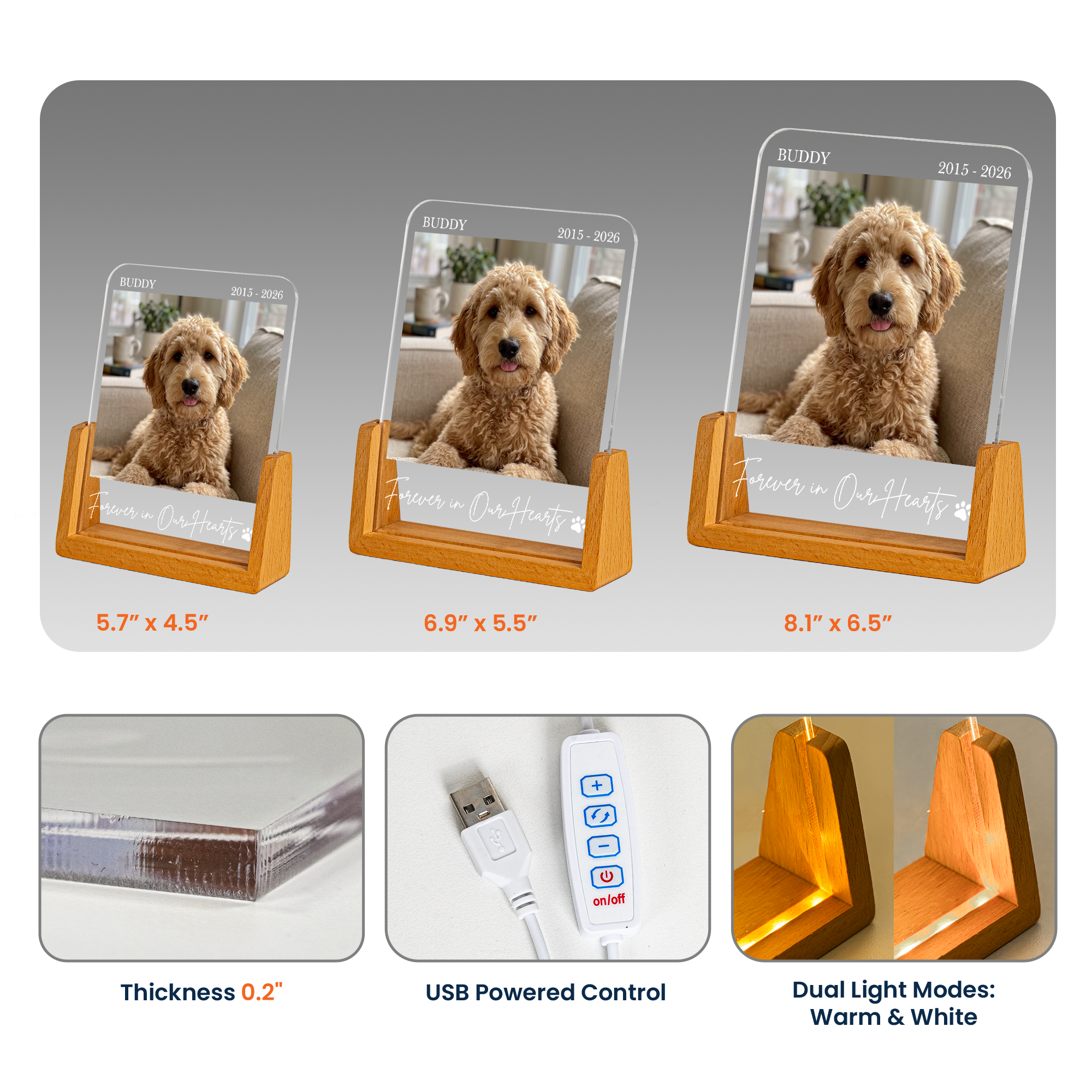 Forever In My Heart Custom Photo Pet Loss Gifts - Personalized Night Light