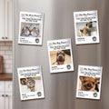Funny Pet - The Trouble Maker Of The Year, For Dog Lovers, Cat Lovers - Personalized Magnet