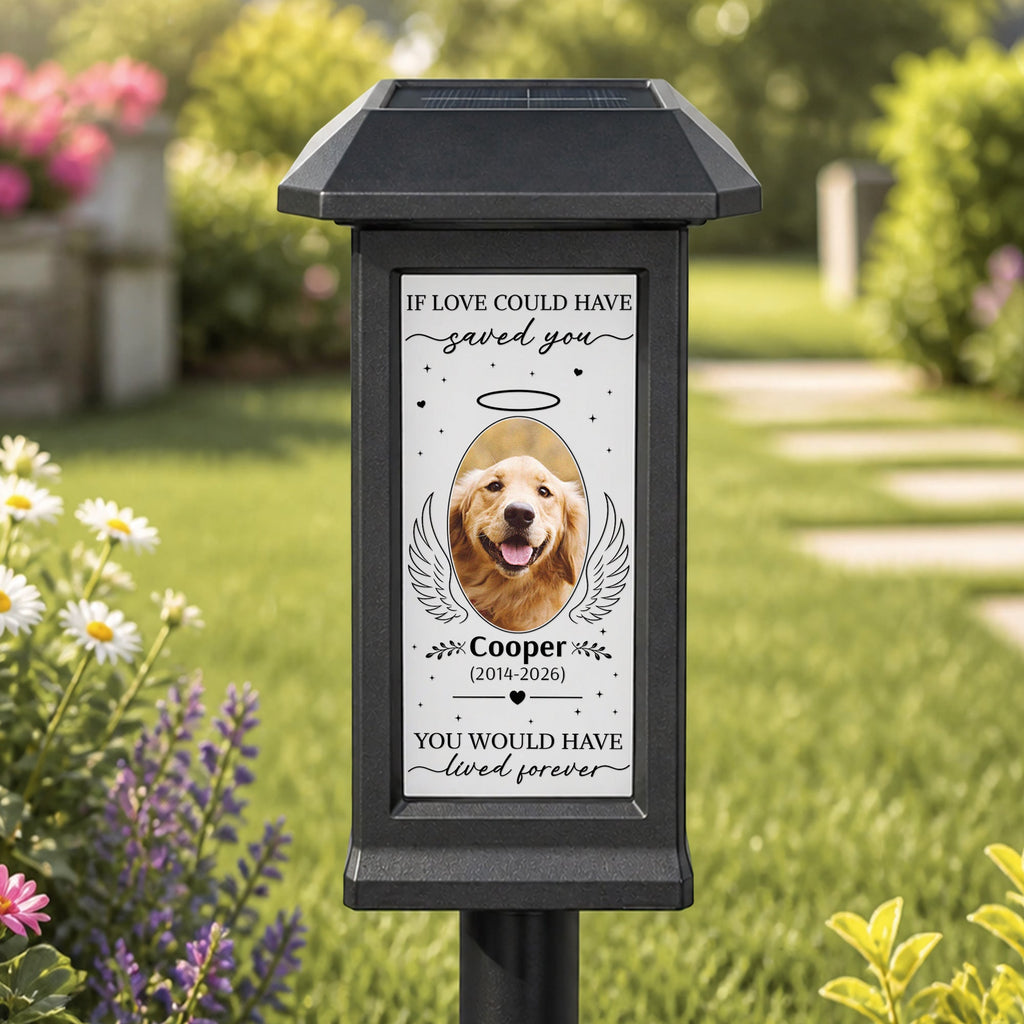 If Love Could Have Saved You Pet Memorial Gift - Personalized Solar Garden Light
