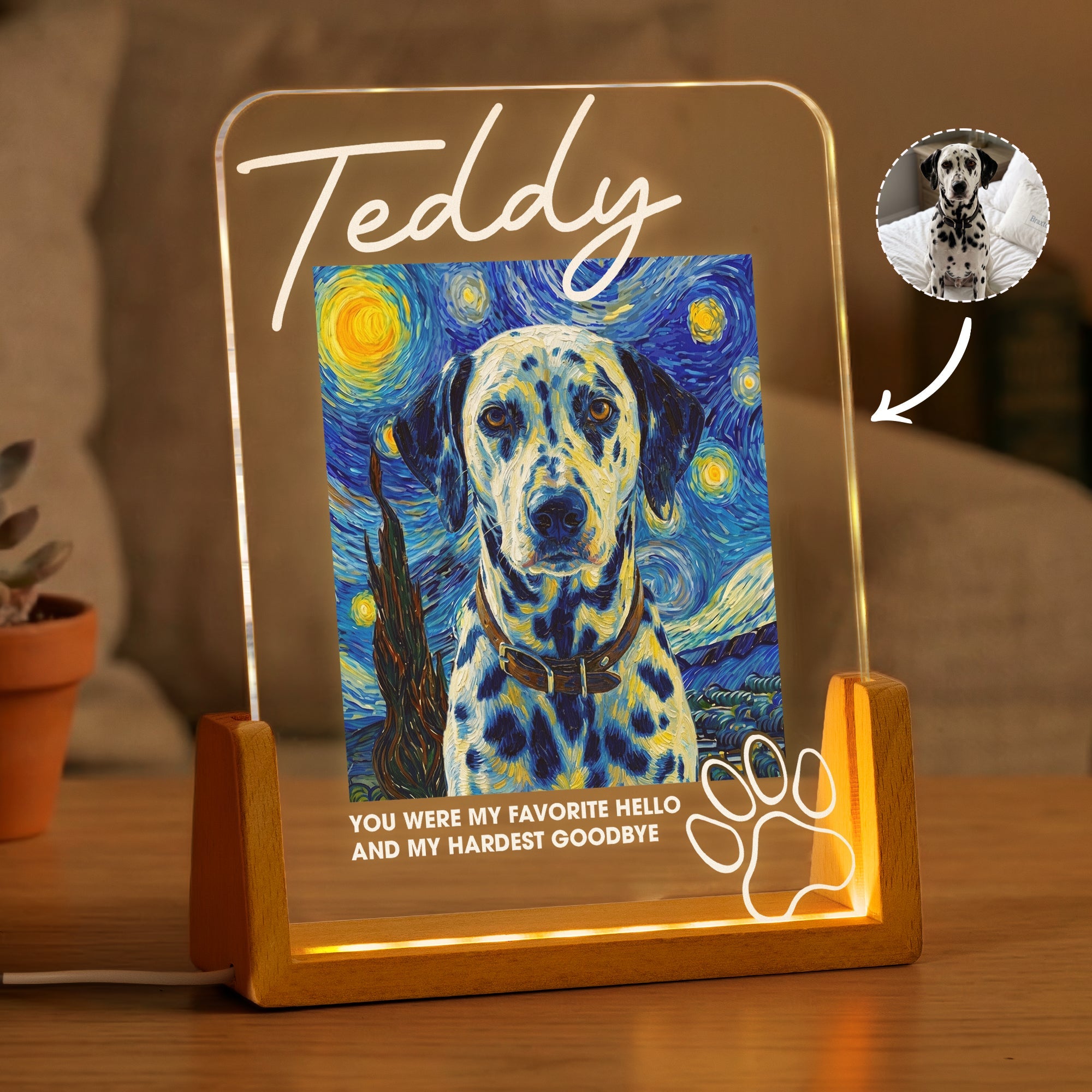 Memorial Pet Van Gogh Style My Favorite Hello & Hardest Goodbye - Personalized Night Light