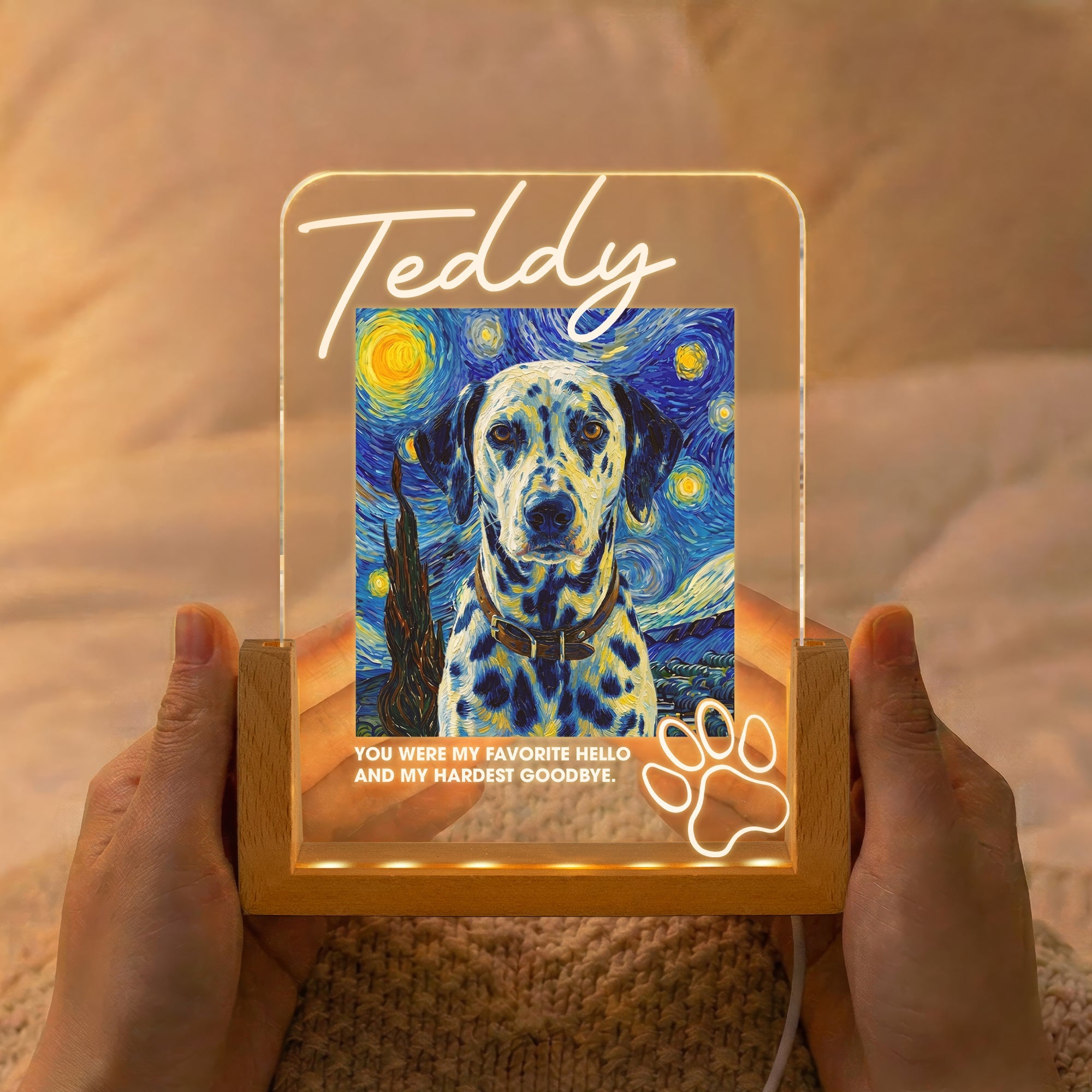 Memorial Pet Van Gogh Style My Favorite Hello & Hardest Goodbye - Personalized Night Light