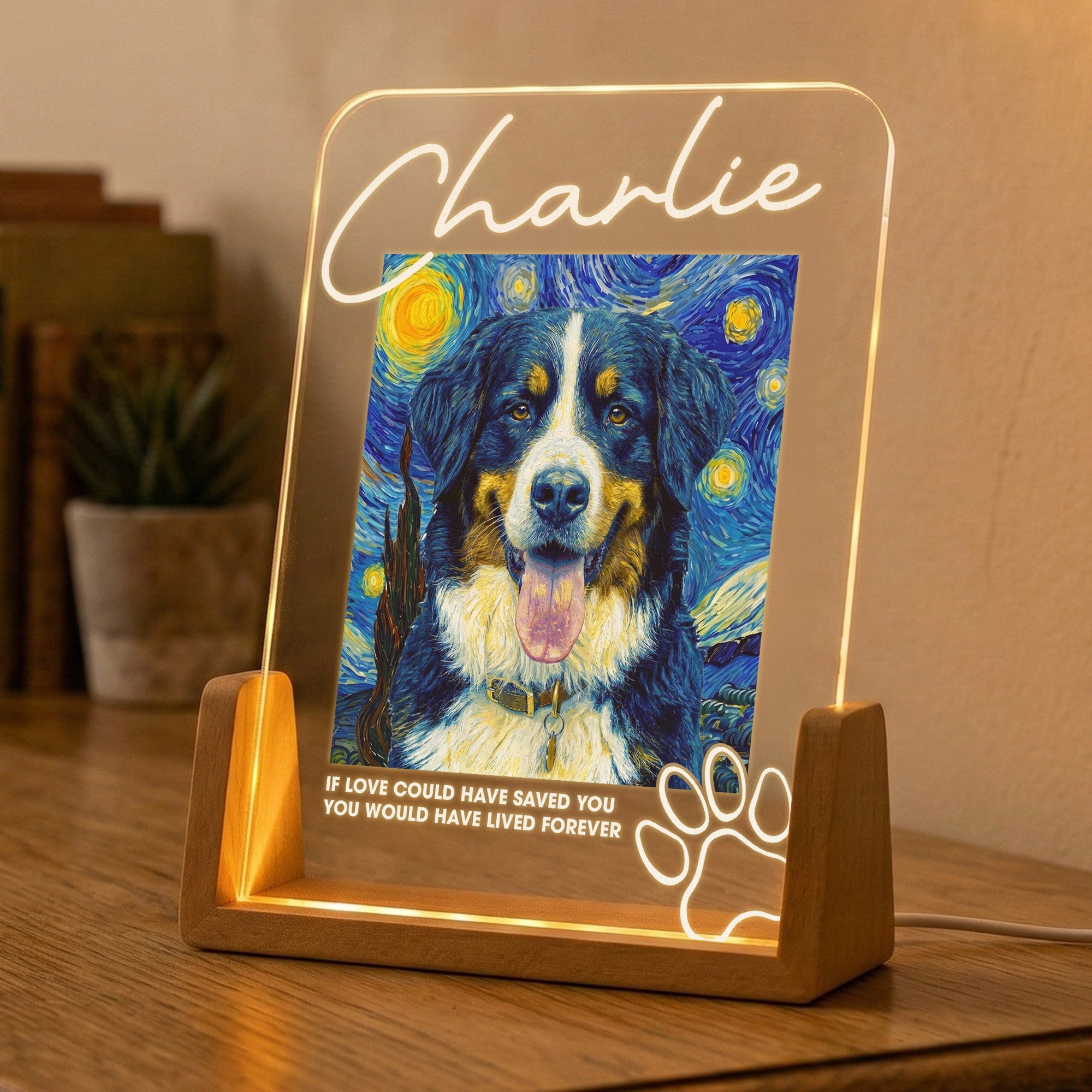 Memorial Pet Van Gogh Style My Favorite Hello & Hardest Goodbye - Personalized Night Light