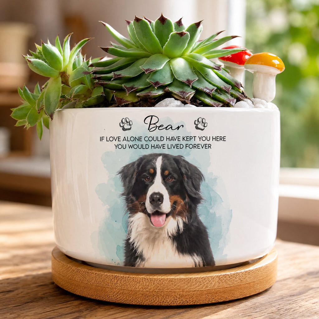 Pet Watercolor Ceramic Planter, Loss Of Pet Gift - Personalized Plant Pot