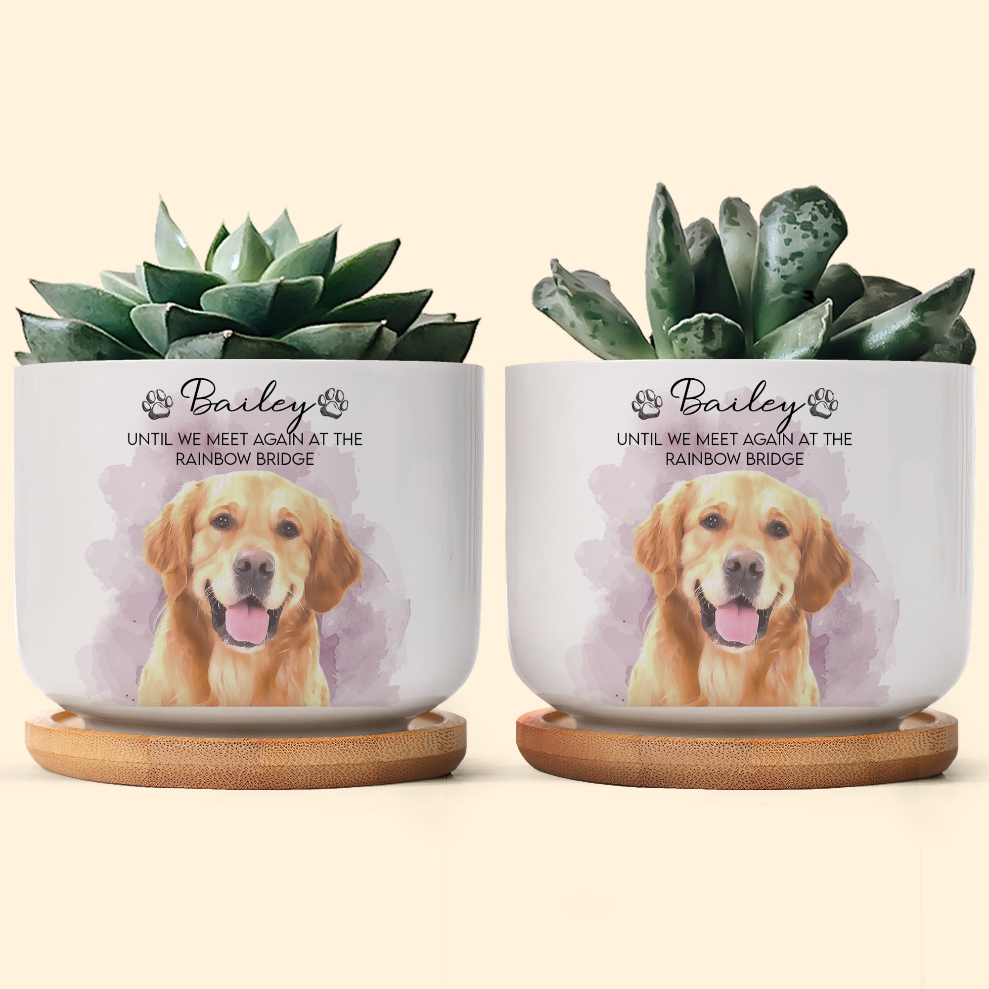 Pet Watercolor Ceramic Planter, Loss Of Pet Gift - Personalized Plant Pot
