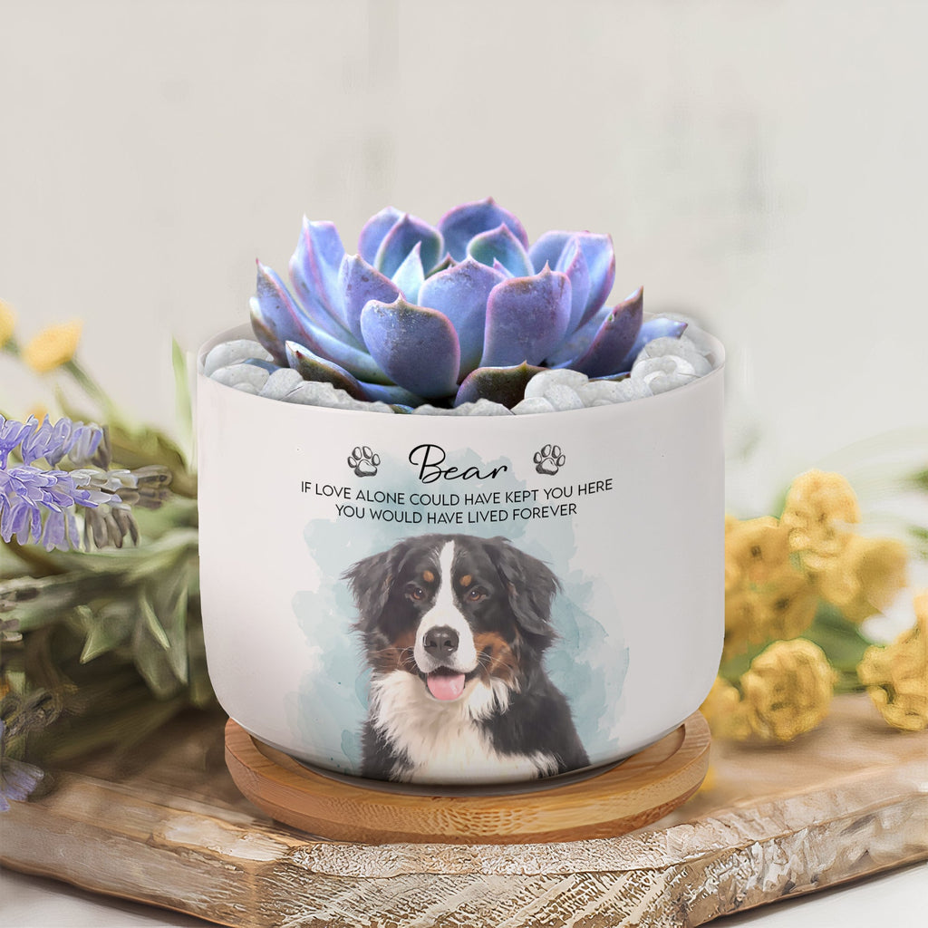 Pet Watercolor Ceramic Planter, Loss Of Pet Gift - Personalized Plant Pot