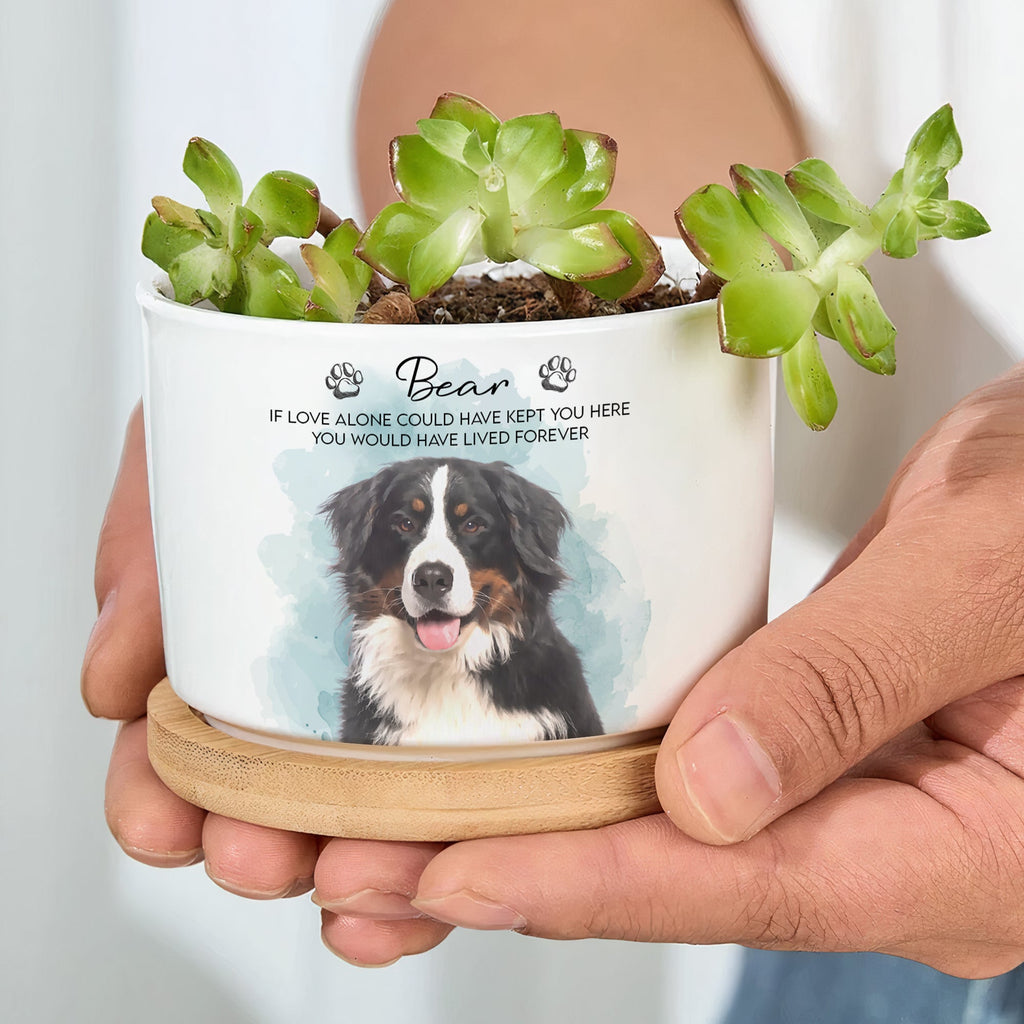 Pet Watercolor Ceramic Planter, Loss Of Pet Gift - Personalized Plant Pot