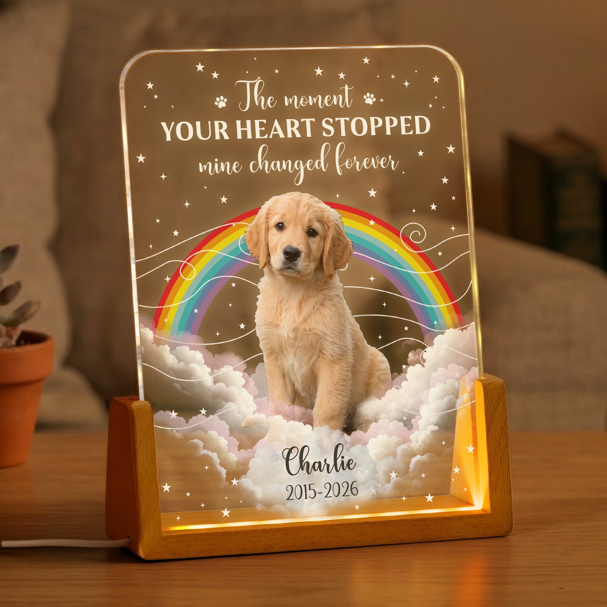 The Moment Your Heart Stopped Pet Memorail Gift - Personalized Night Light