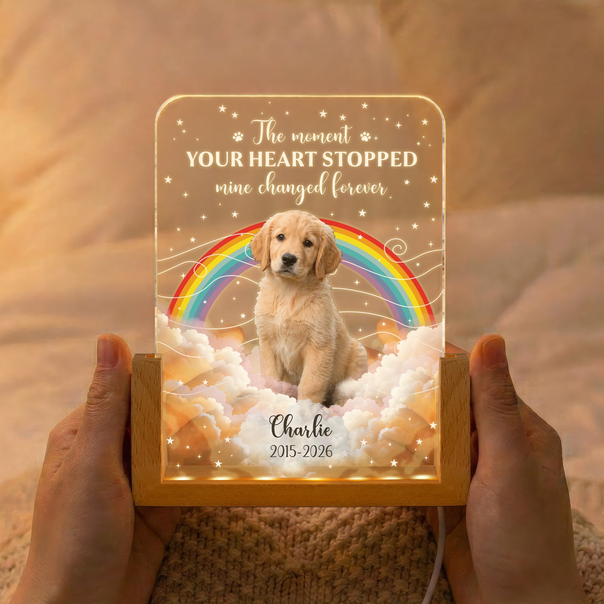 The Moment Your Heart Stopped Pet Memorail Gift - Personalized Night Light