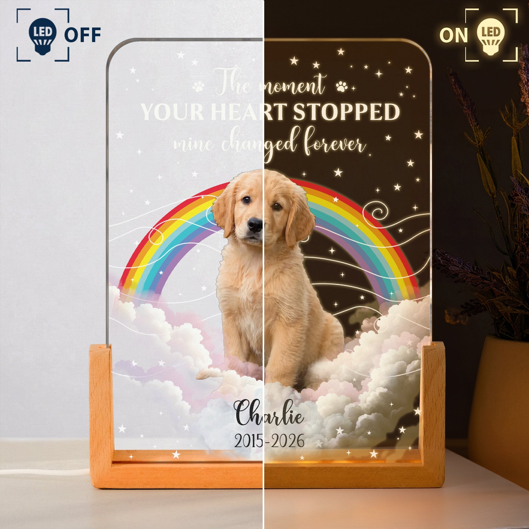 The Moment Your Heart Stopped Pet Memorail Gift - Personalized Night Light