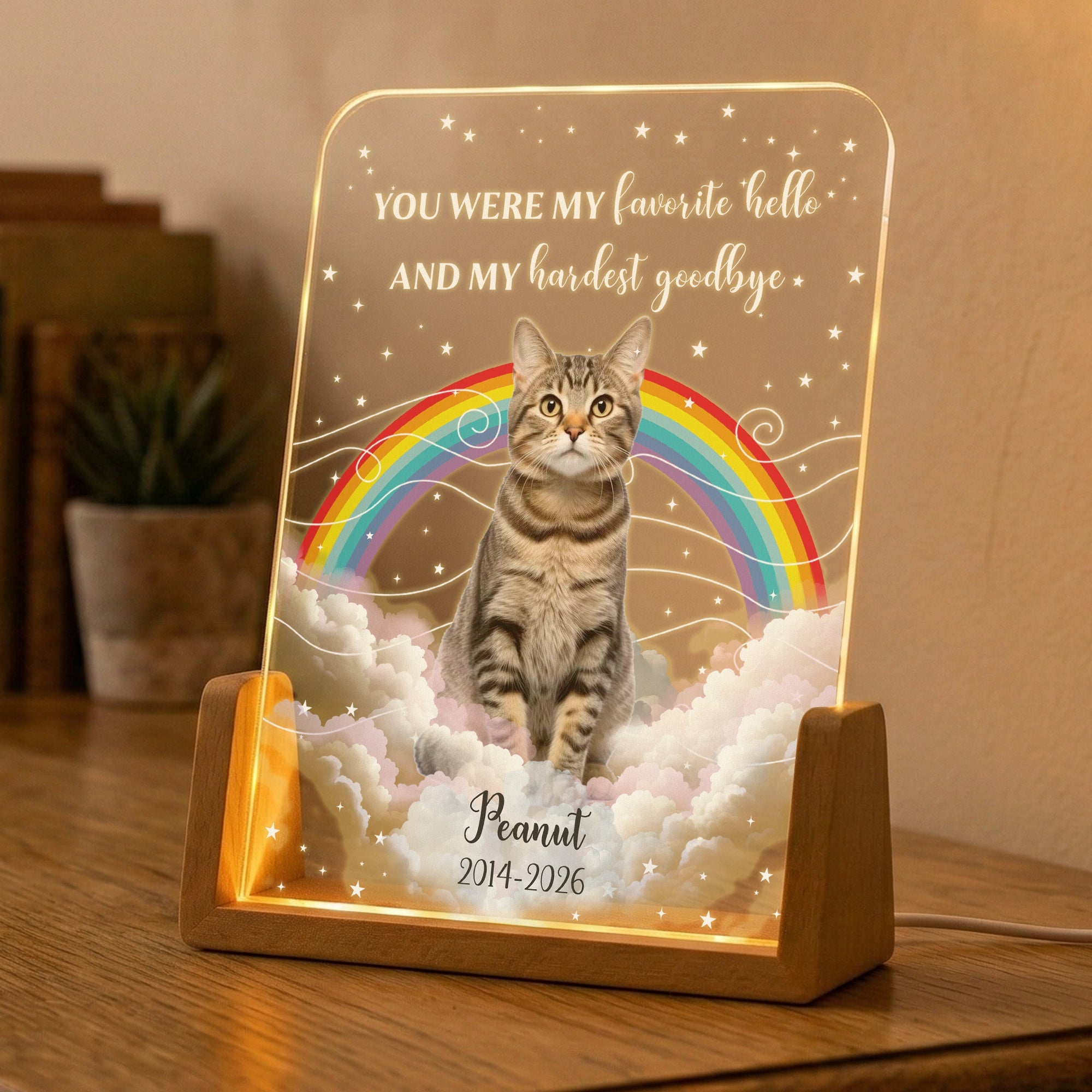 The Moment Your Heart Stopped Pet Memorail Gift - Personalized Night Light