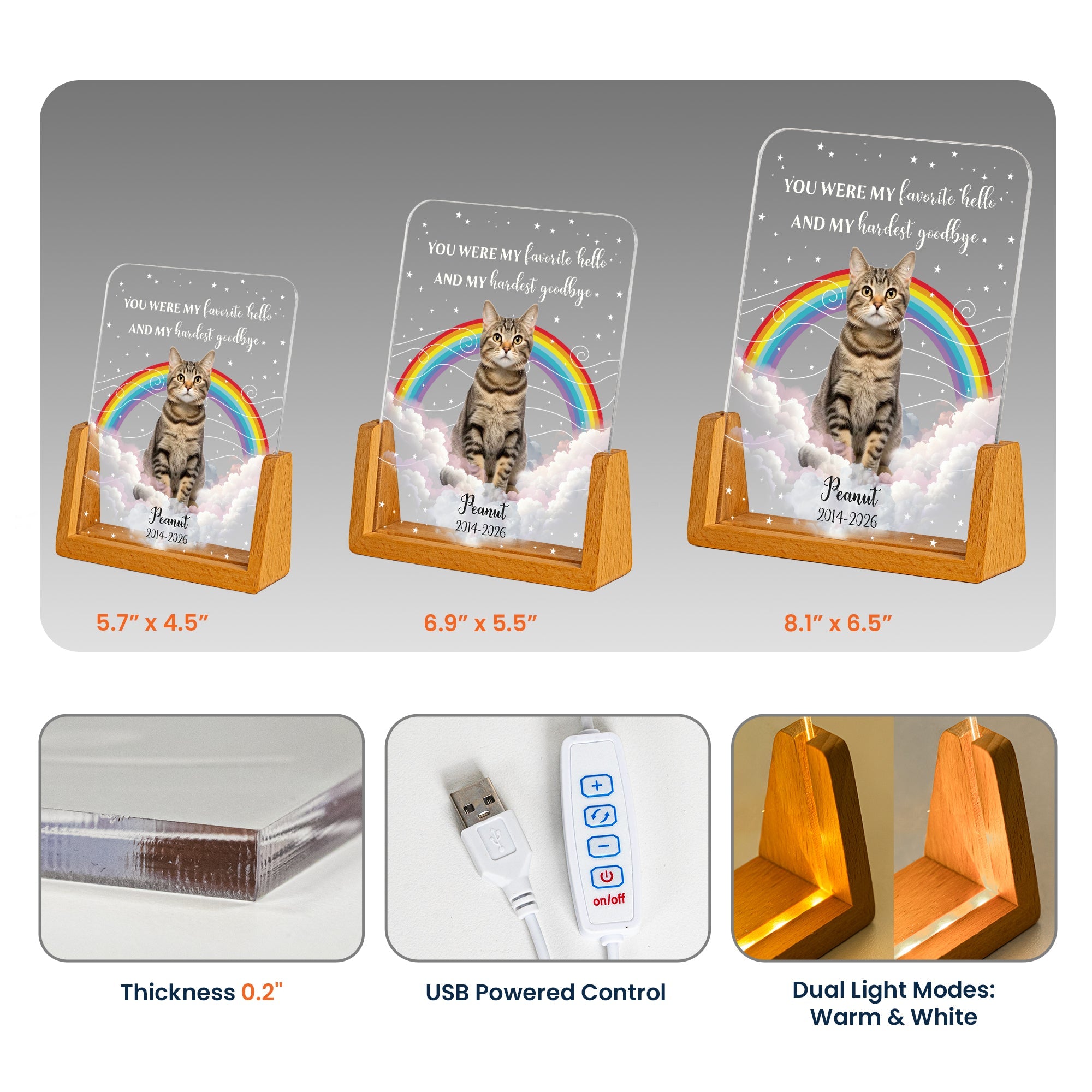 The Moment Your Heart Stopped Pet Memorail Gift - Personalized Night Light