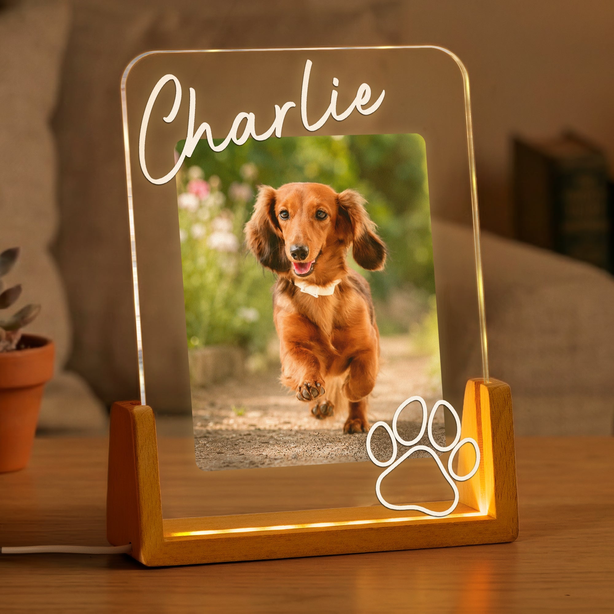 Custom Pet Memorial Frame - Personalized Night Light
