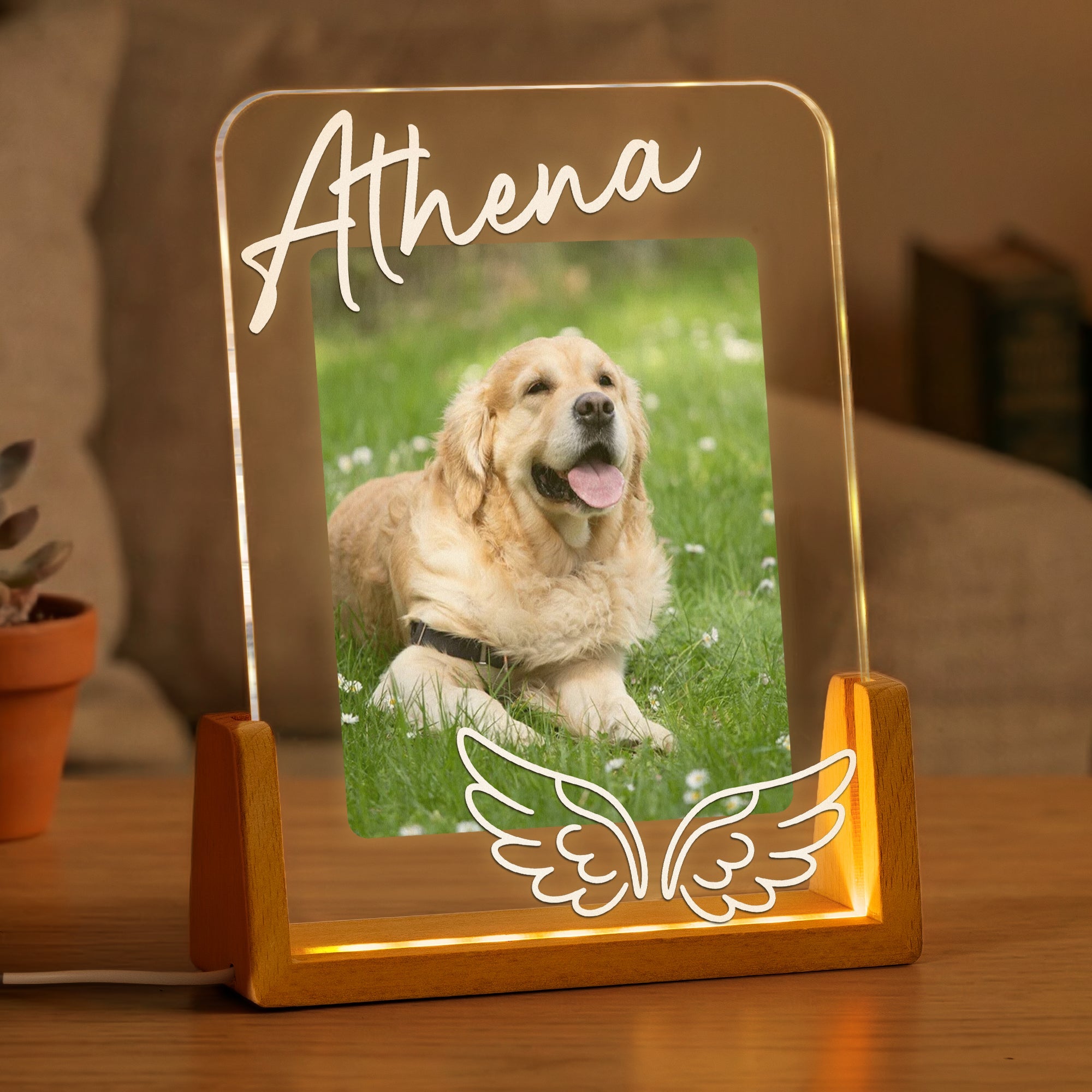 Custom Pet Memorial Frame - Personalized Night Light