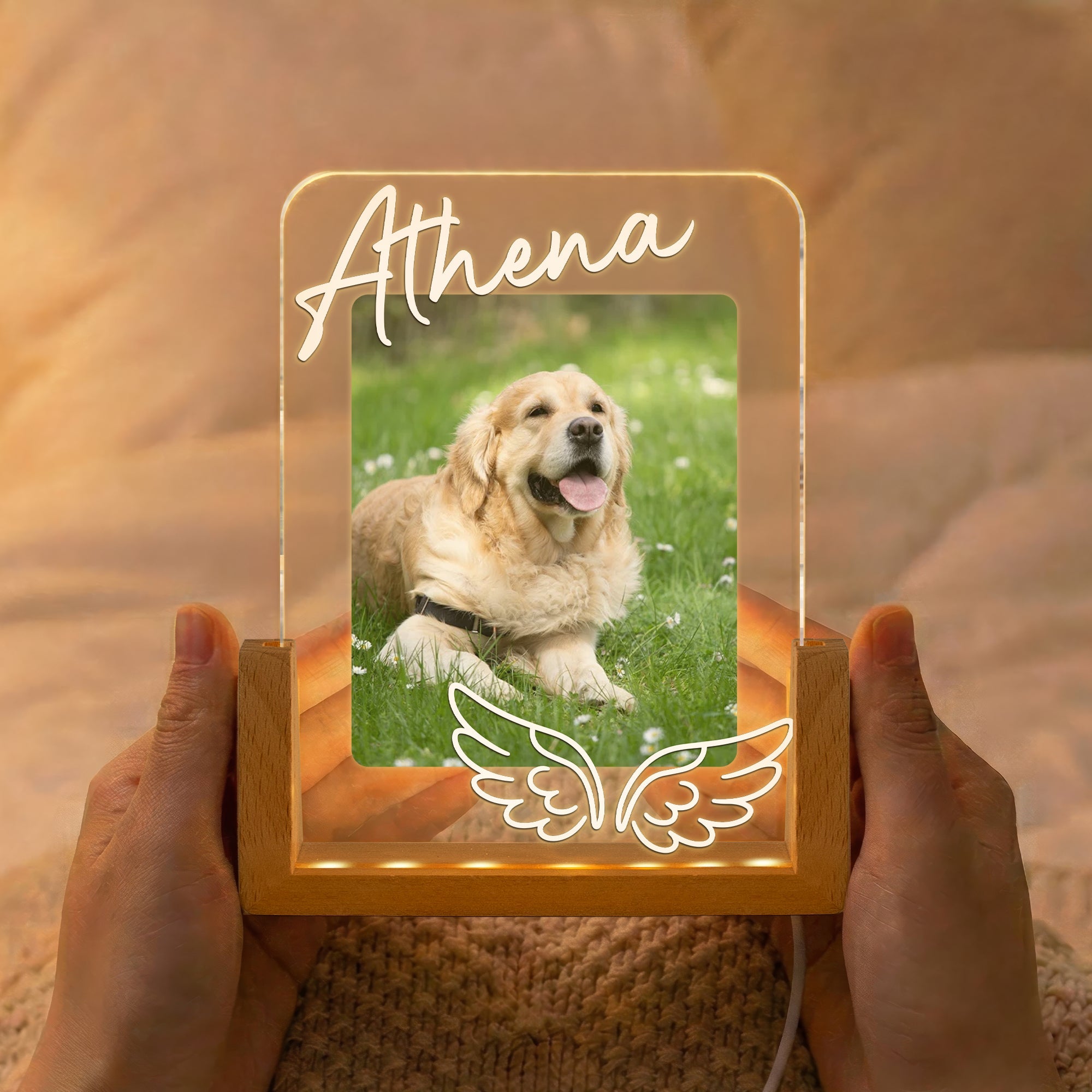 Custom Pet Memorial Frame - Personalized Night Light