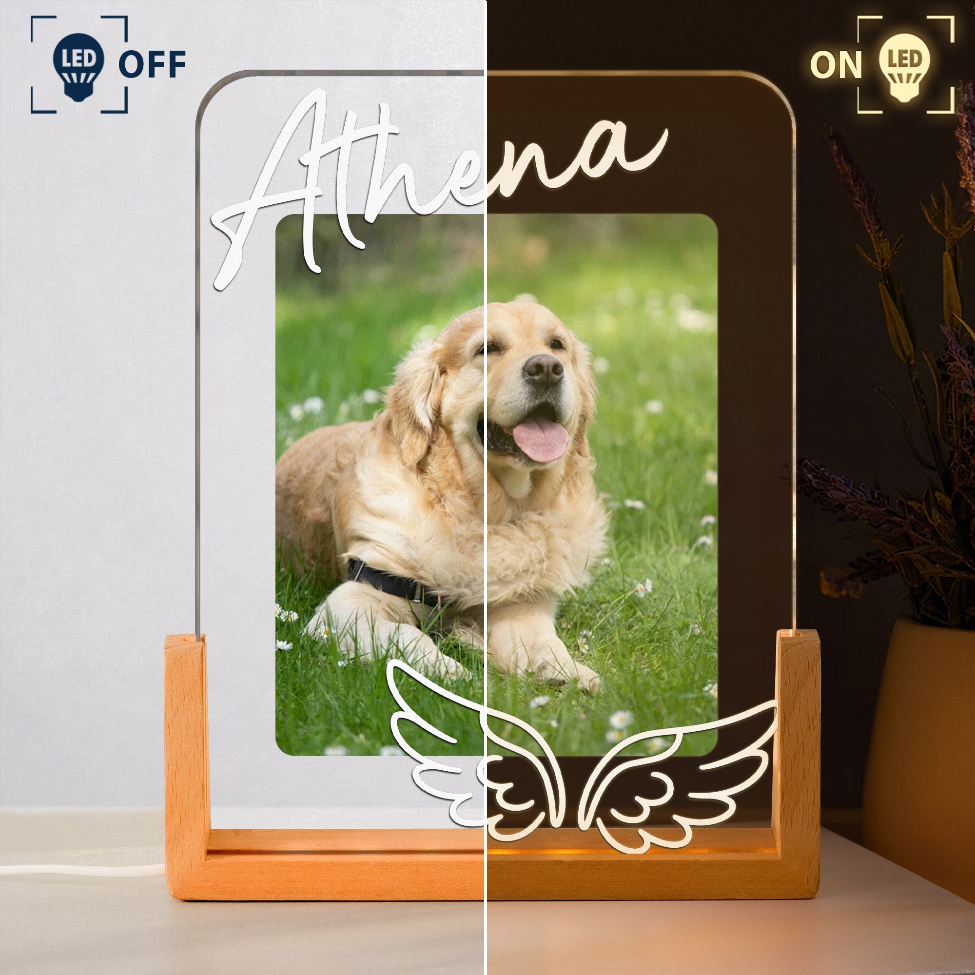 Custom Pet Memorial Frame - Personalized Night Light