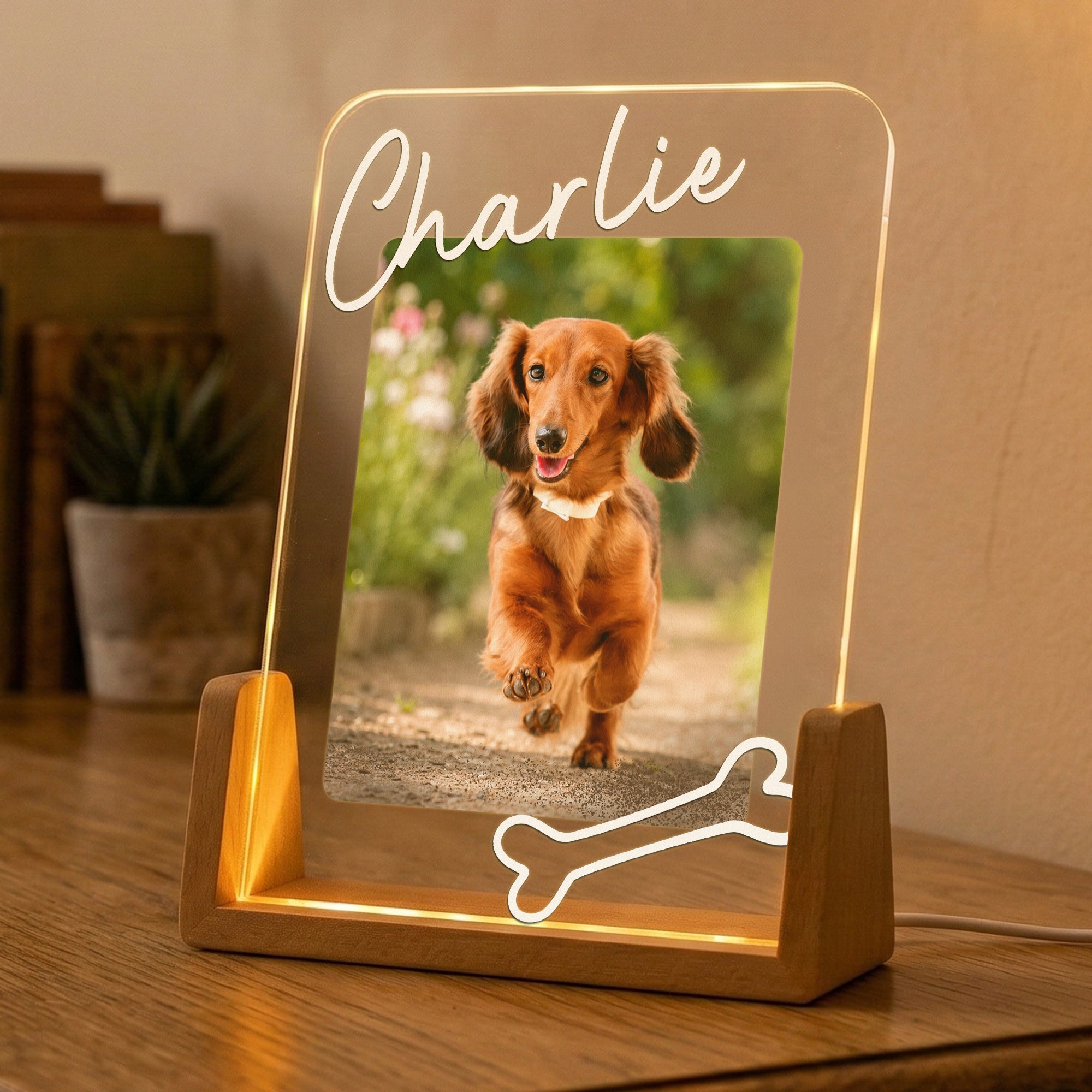 Custom Pet Memorial Frame - Personalized Night Light