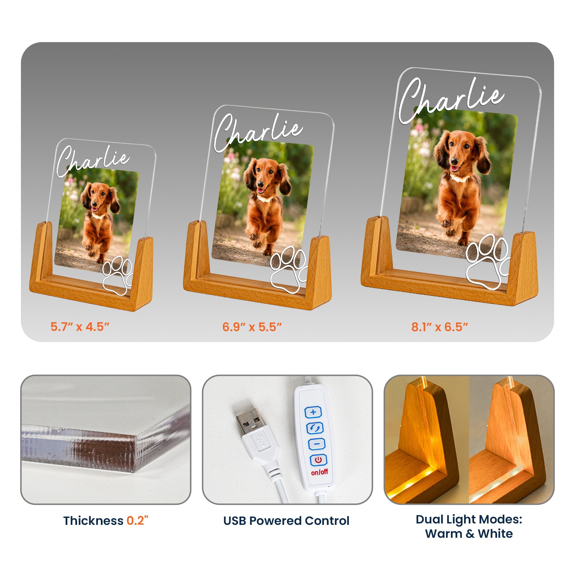 Custom Pet Memorial Frame - Personalized Night Light