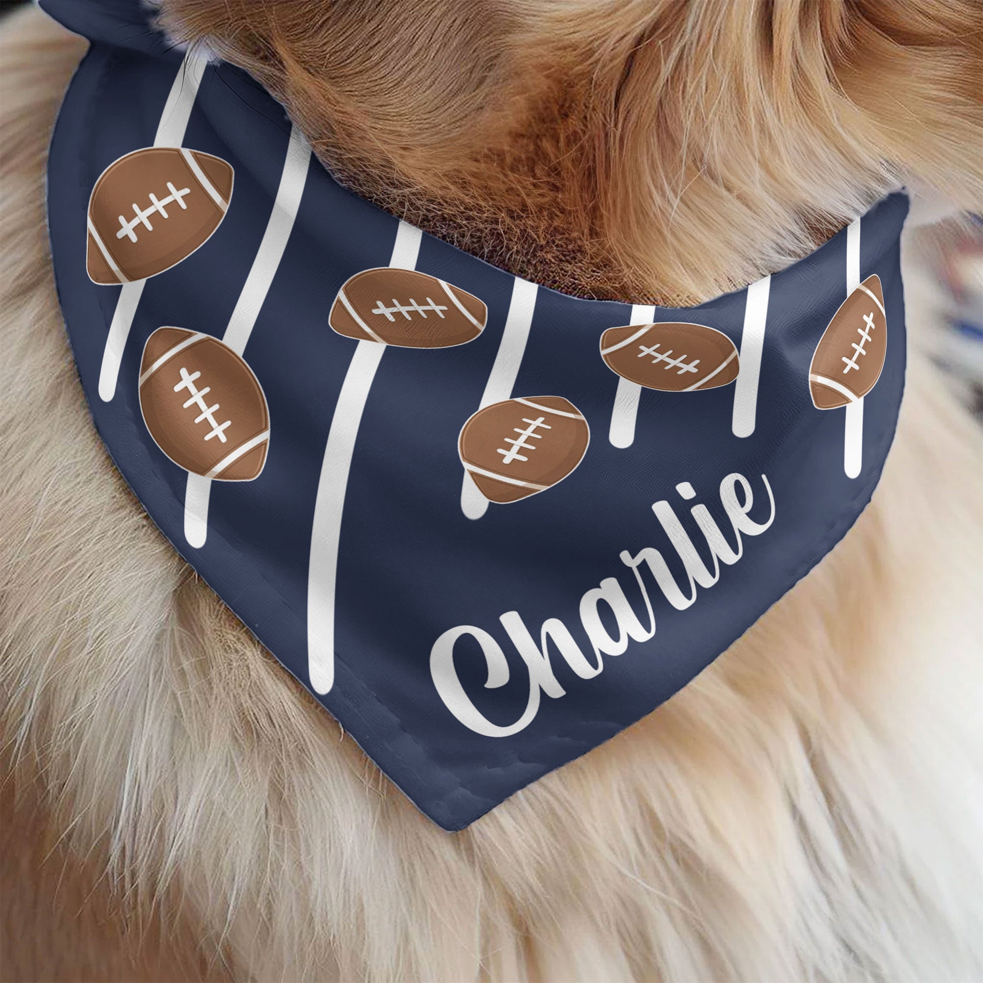 Custom Pet Name Bandana, Gift For Sport Lover - Personalized Bandana Collar